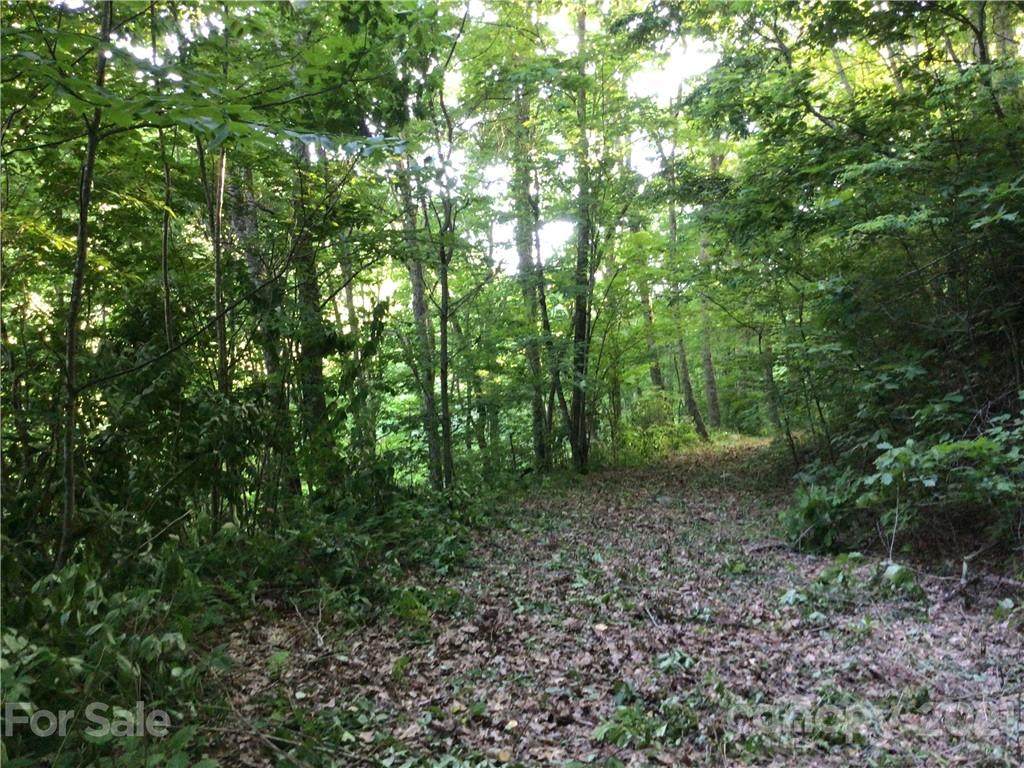 Lot 16D Wolf Laurel Drive - Photo 1