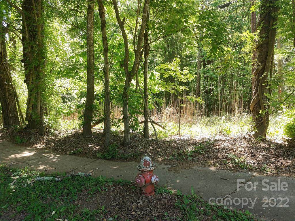 0 Waxhaw Marvin Road - Photo 1