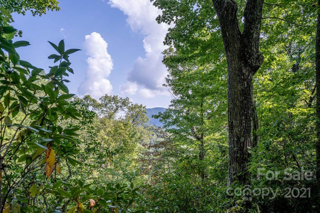 35 Lower Sand Branch Road - Photo 1