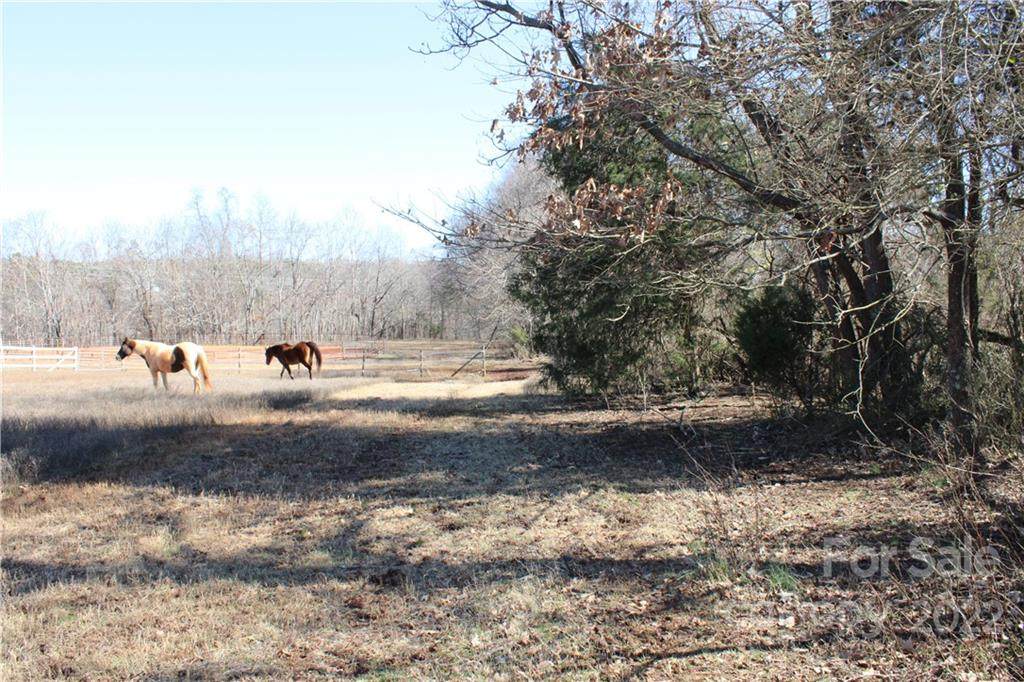 001 Beatties Ford Road - Photo 1