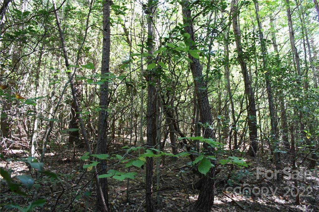 2764 Turkey Hen Mountain Lane - Photo 1