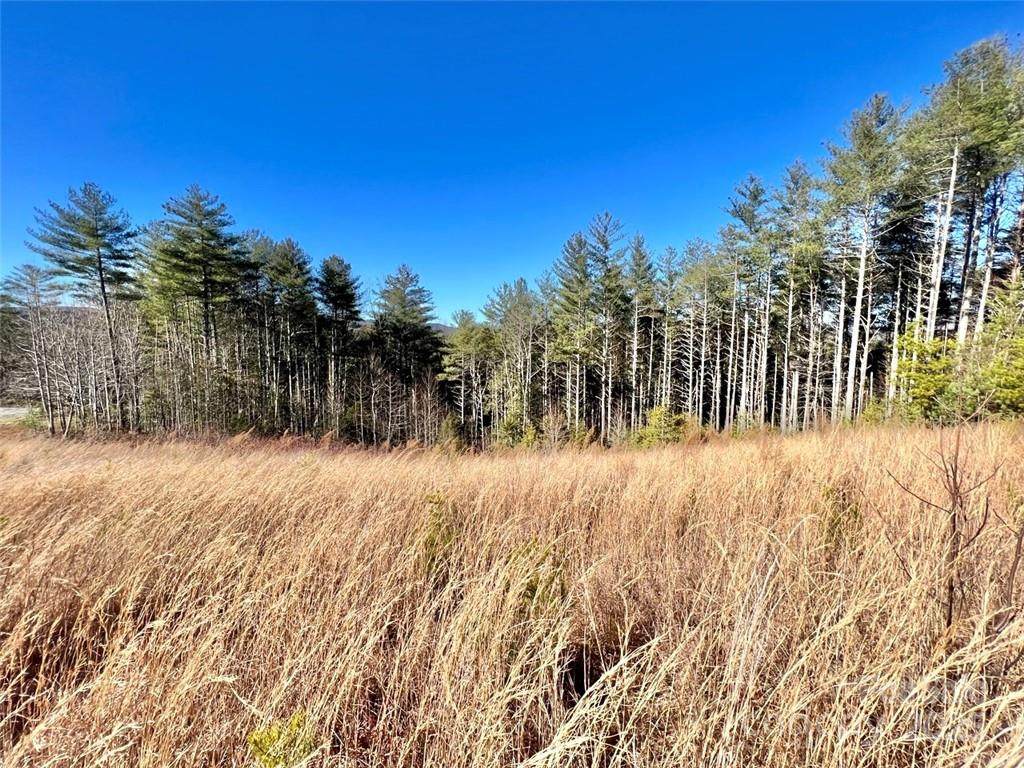 1.85 acres Lot 154 Rocky Falls Lane - Photo 1