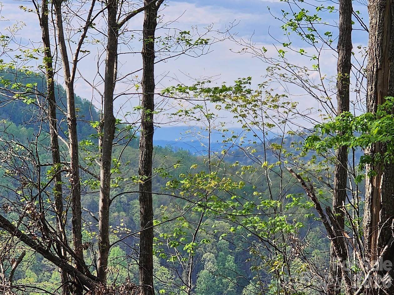 79 Longview Trail - Photo 1