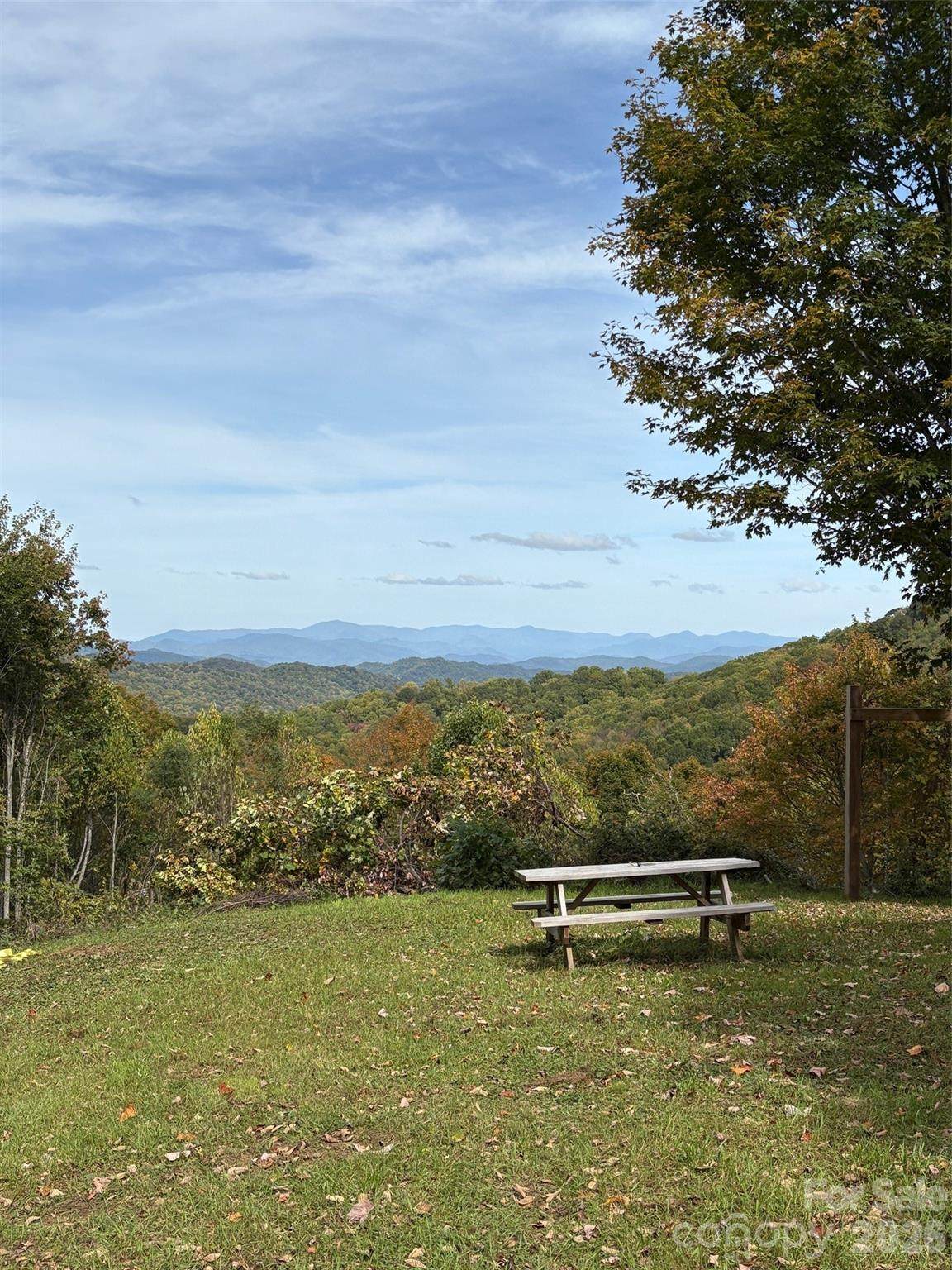 Tract 2 Turkey Trot Road - Photo 1