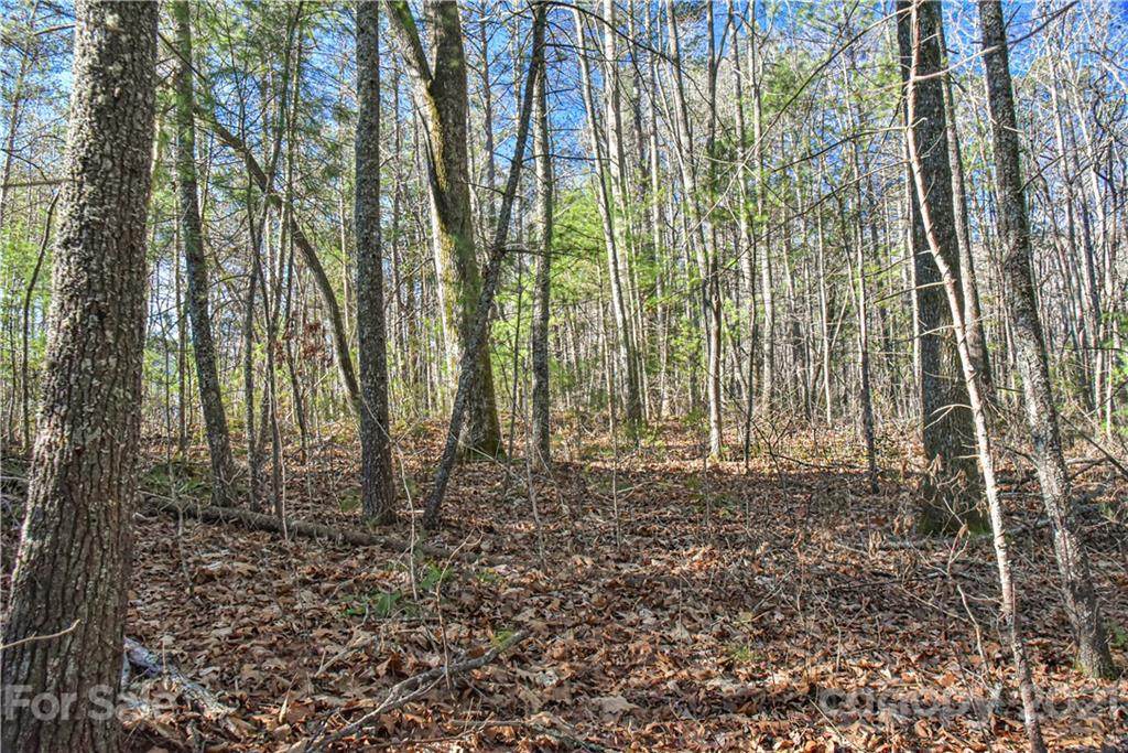 36 Buffalo Creek Drive - Photo 1
