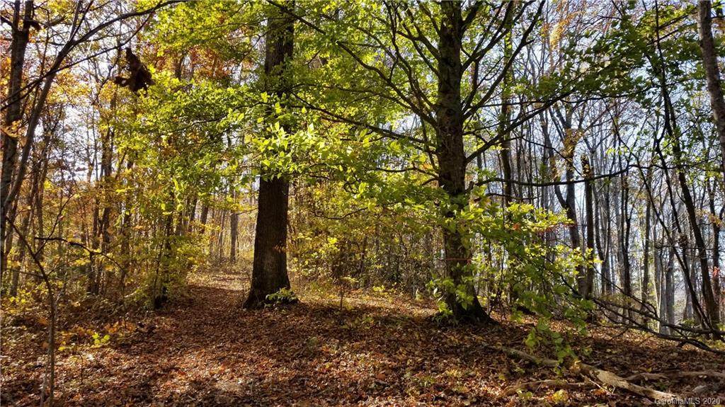 84 N Turkey Creek Road - Photo 1