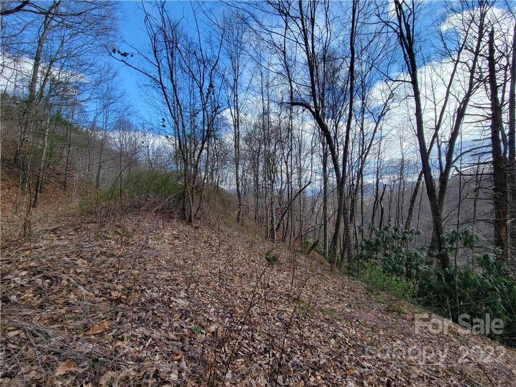 10 Bent Pine Drive - Photo 1