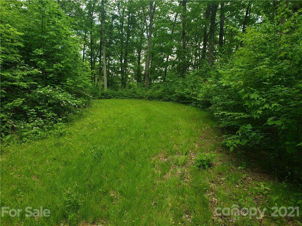 000 Deep Gap Road - Photo 1