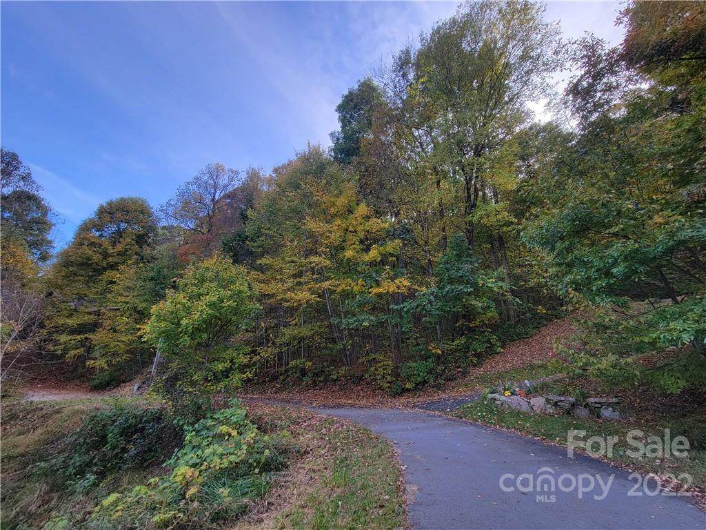 3 Silver Maple Lane - Photo 1