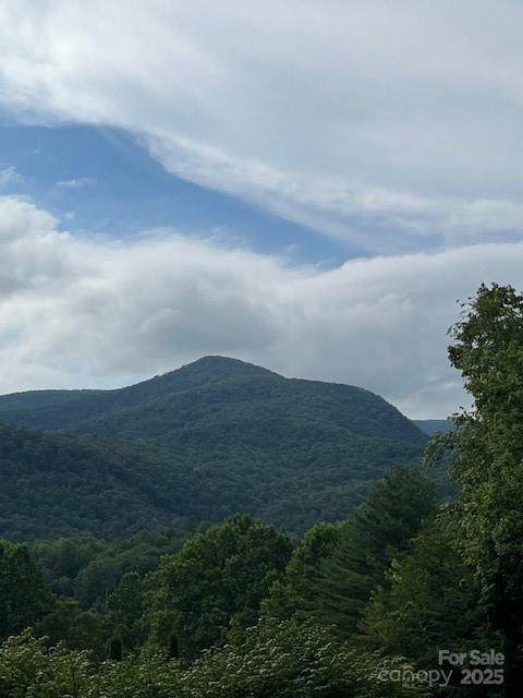 5 Old Cove Road - Photo 1