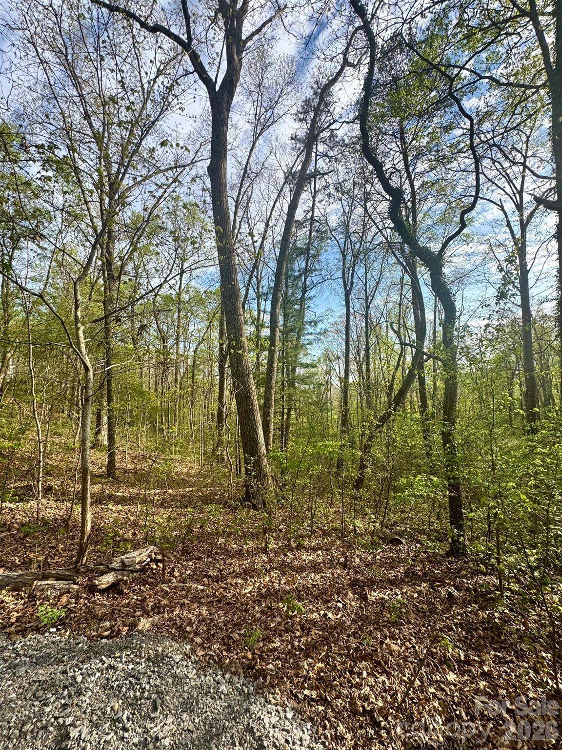 99999 Buffalo Trail - Photo 1