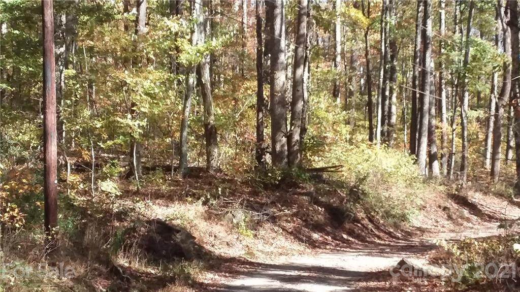 3.98 Acres+- Log Gap Road - Photo 1