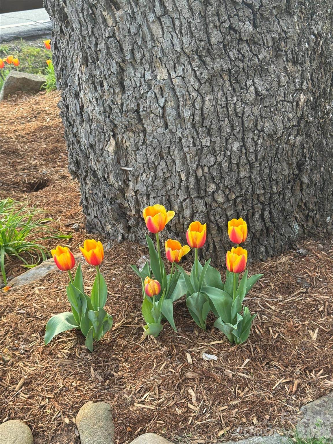 https://bt-photos.global.ssl.fastly.net/cmls/orig_boomver_7_4285786-1.jpg