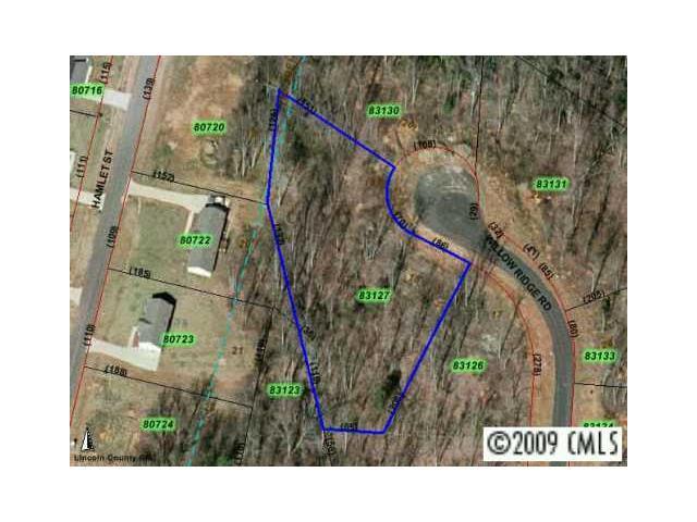 LOT 18 Willow Ridge Road - Photo 1