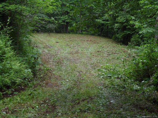 0 Big Laurel Road - Photo 1