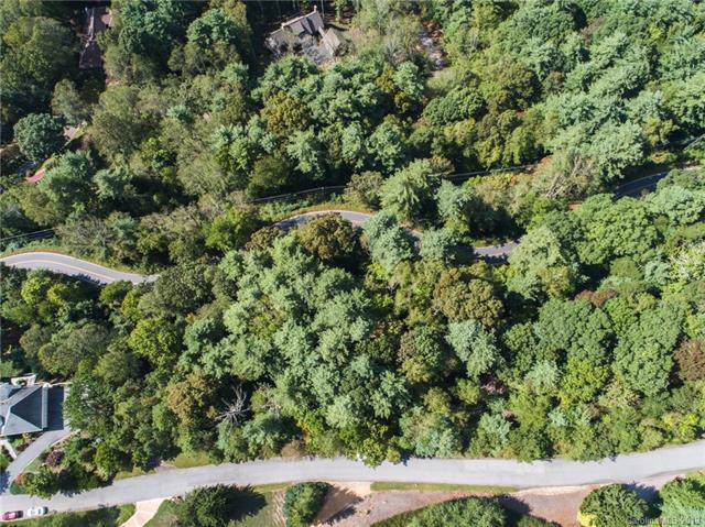 36 Elk Mountain Ridge - Photo 1