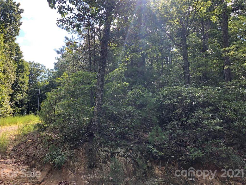 000 Gowings Knob Road - Photo 1