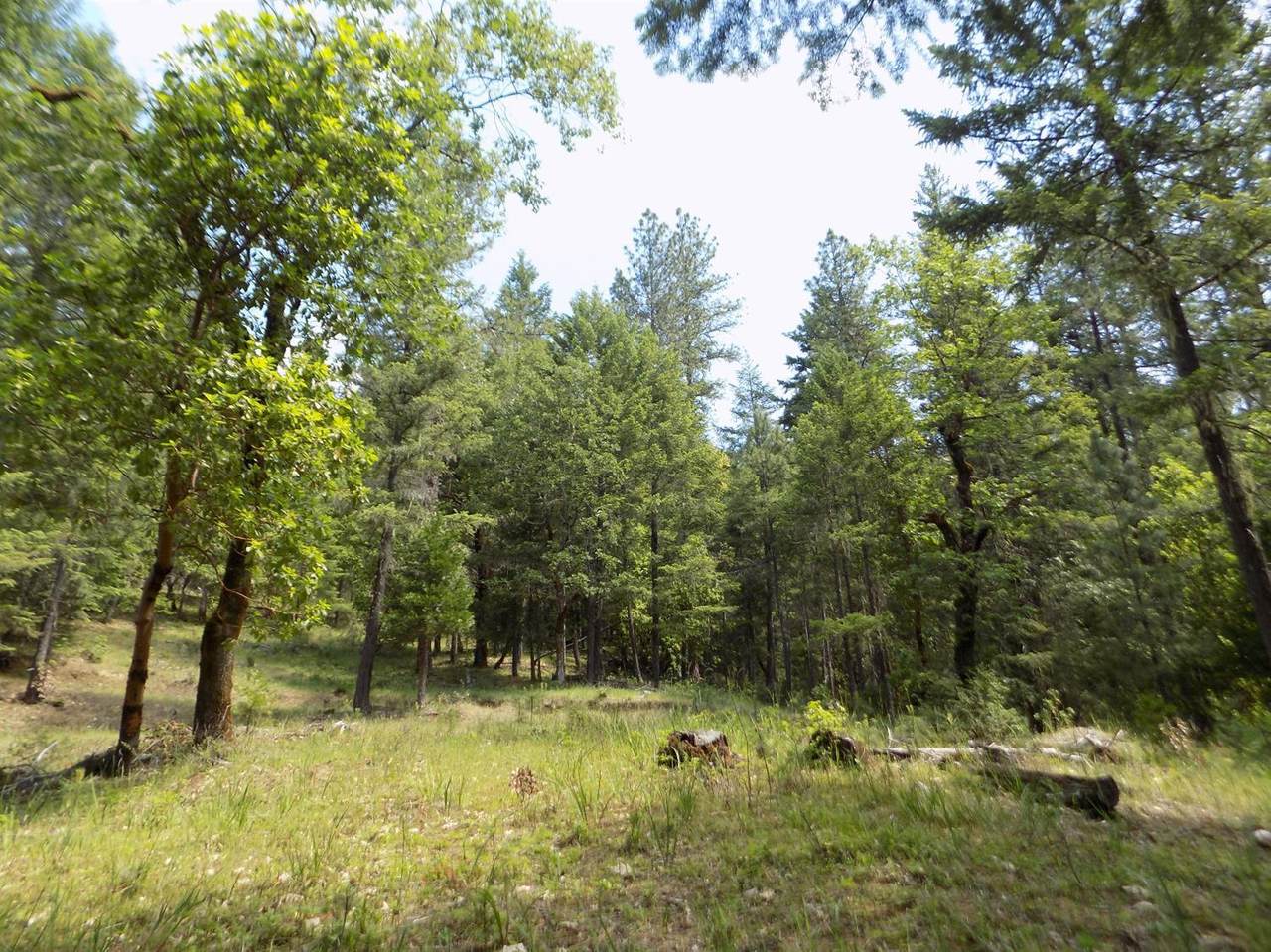 0 Ditch Creek Lot 201 Road - Photo 1