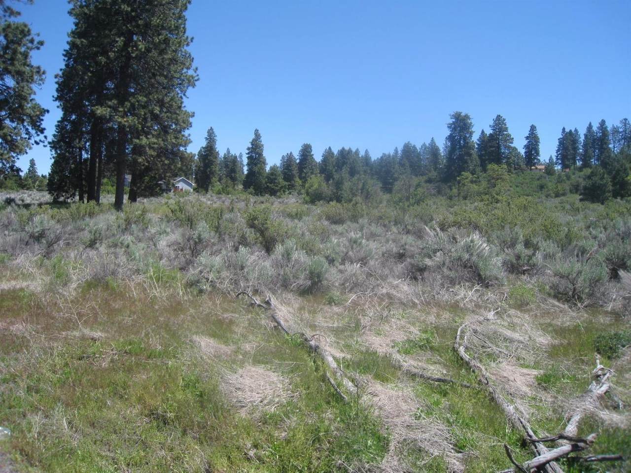 0 Modoc Point Road - Photo 1