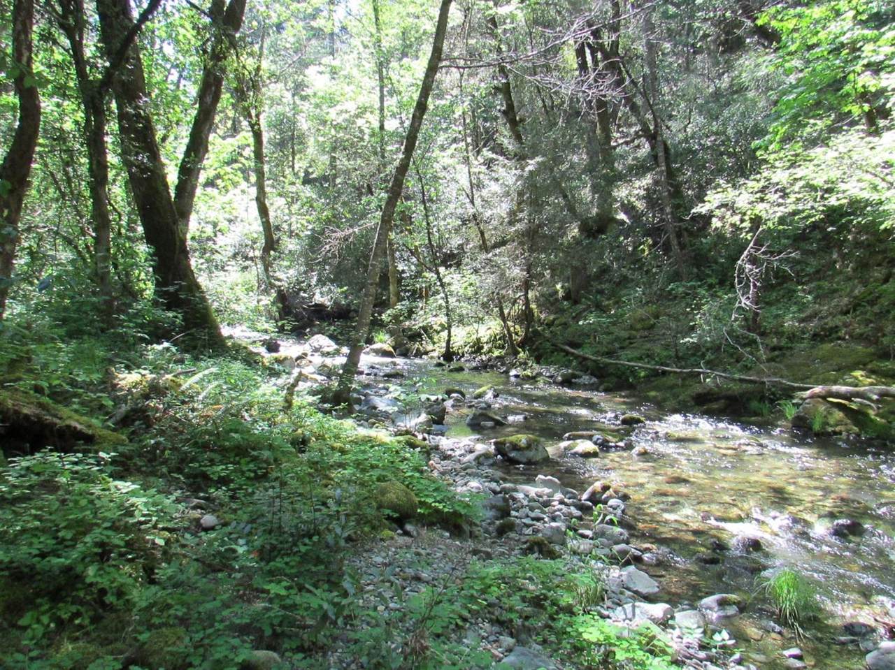 0 Murphy Creek Rd. Tl206 - Photo 1 0 Murphy Creek Rd. Tl206 - Photo 1