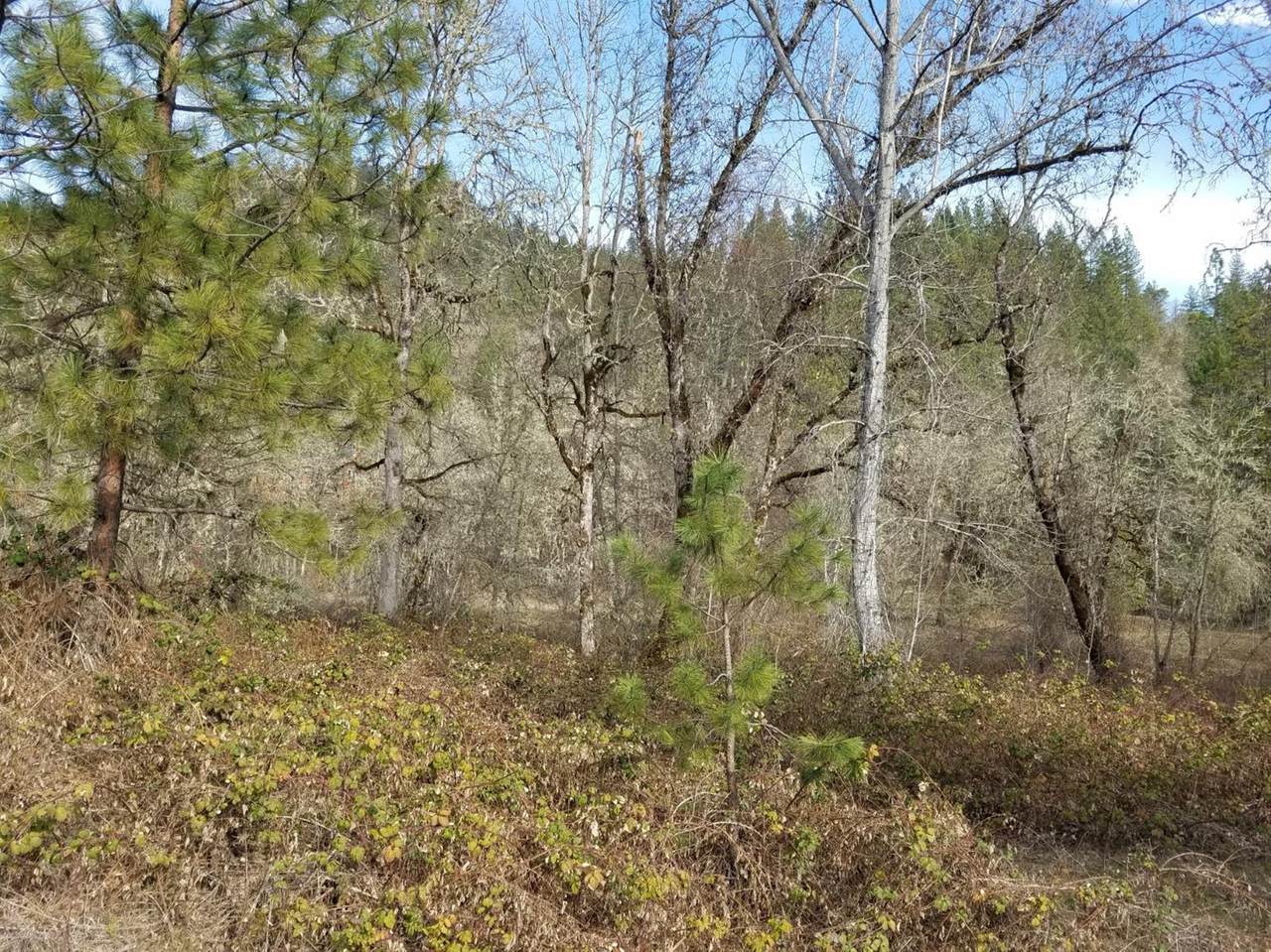 TL600 Elk Creek Road - Photo 1 TL600 Elk Creek Road - Photo 1