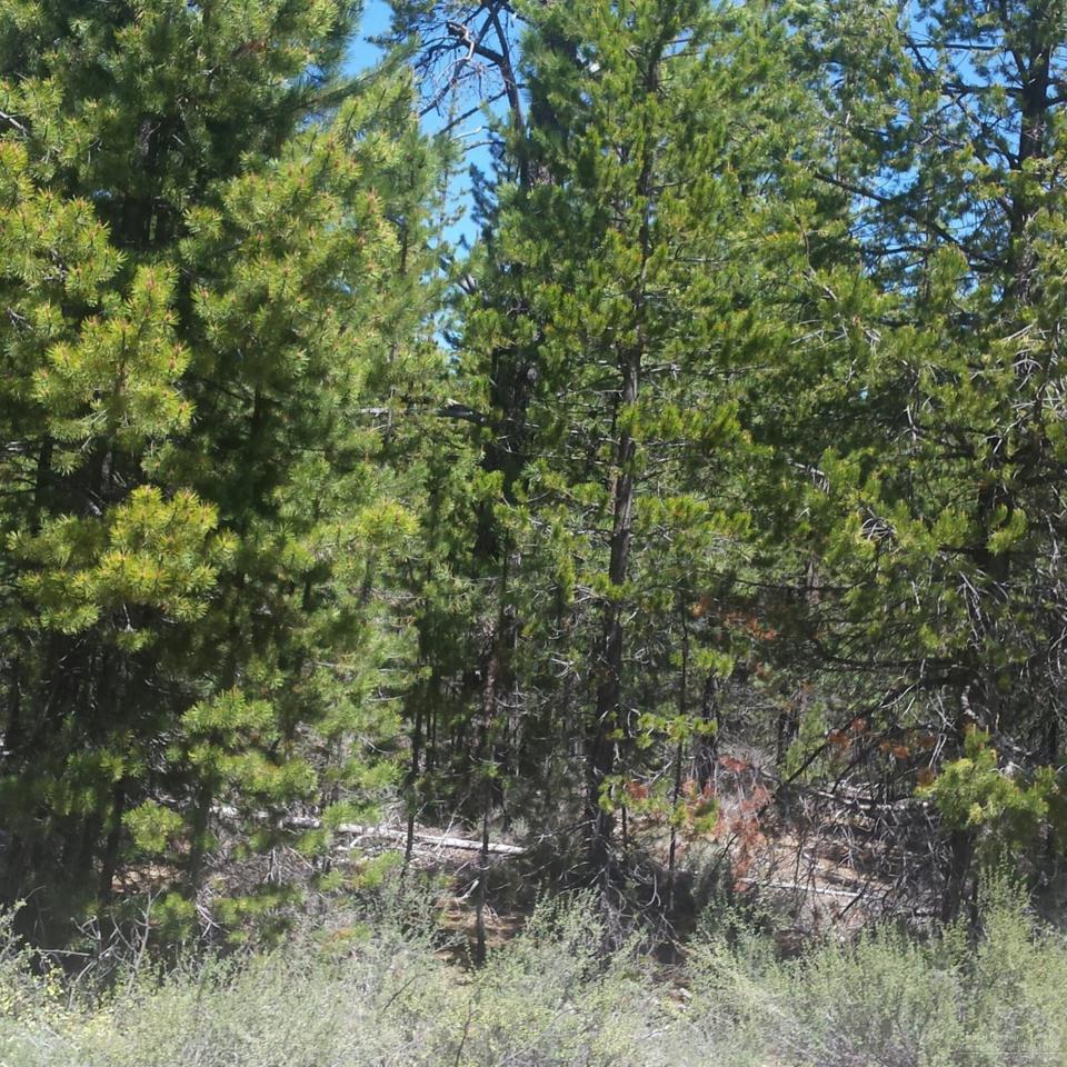 0 Howard Road, La Pine, OR 97739 (MLS #201604862) :: Birtola Garmyn High Desert Realty