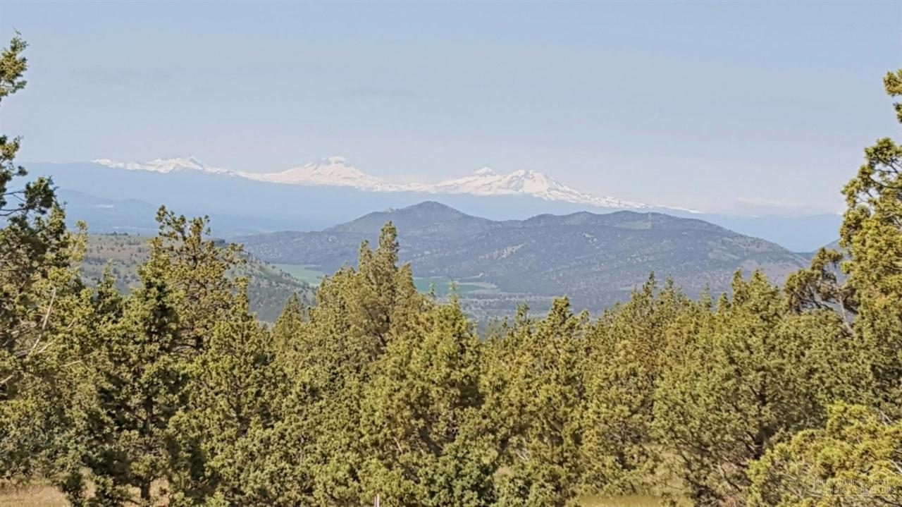 0 Grizzly Mt Road - Photo 1