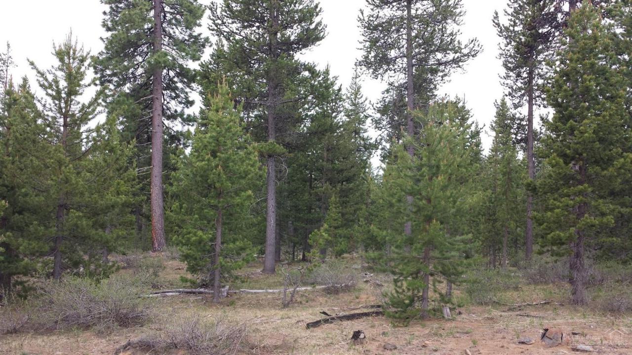 0 #562 FOREST SERVICE Road - Photo 1