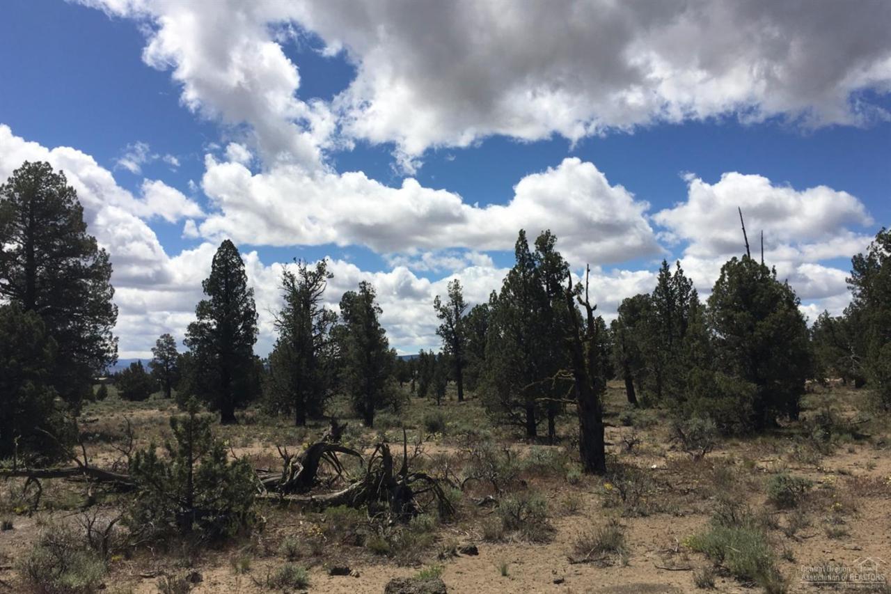 25215 Alpine Lane, Bend, OR 97701 (MLS #201605949) :: Birtola Garmyn High Desert Realty