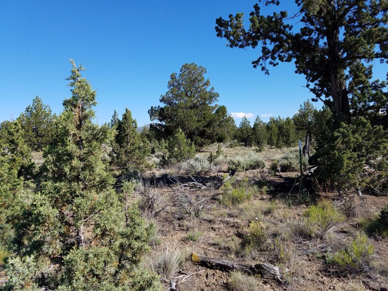 0 SE Cc Dunham Road Tl 1001, Prineville, OR 97754 (MLS #201606573) :: Birtola Garmyn High Desert Realty