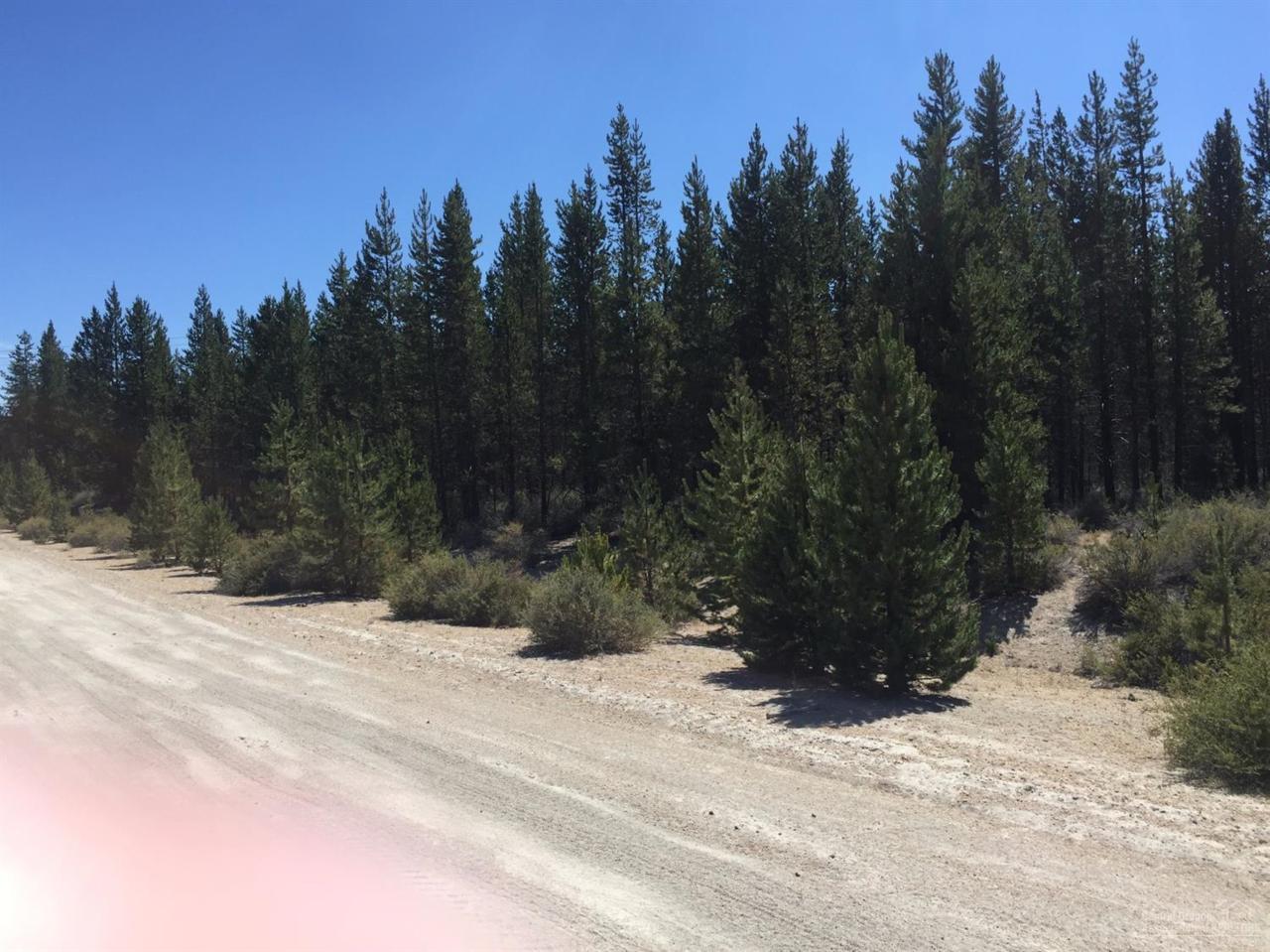 0 Powerline Road - Photo 1