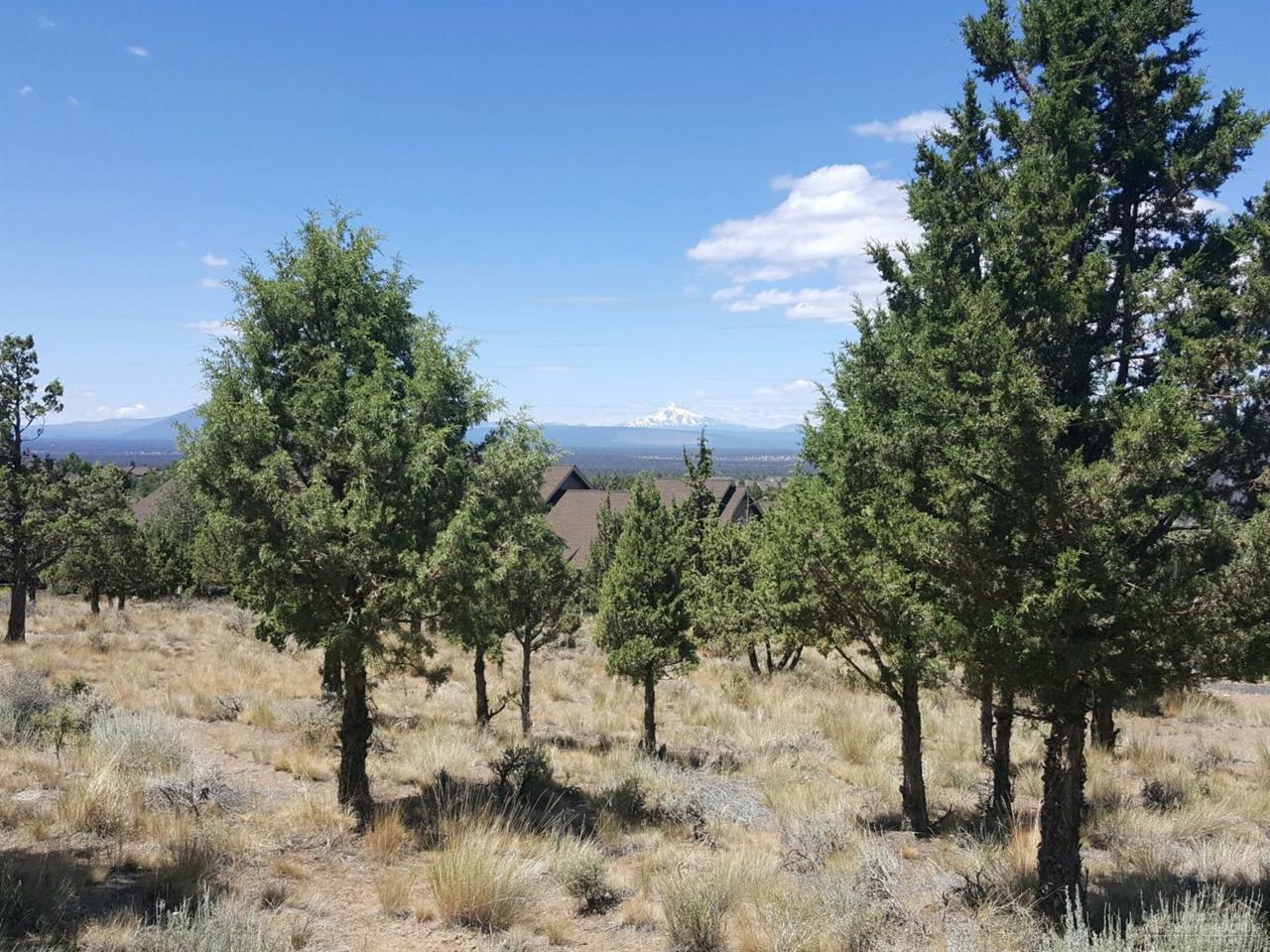 823 Highland View Loop Loop - Photo 1