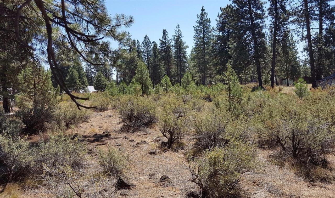60294 Cinder Butte Road - Photo 1