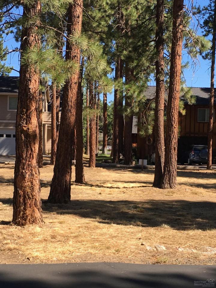 956 Timber Pine Drive - Photo 1