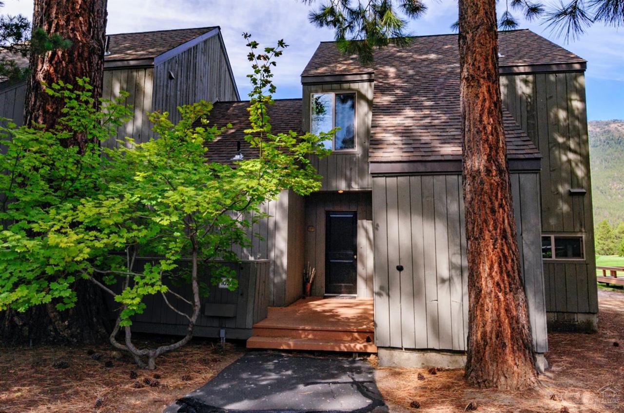13400 Foxtail - Photo 1