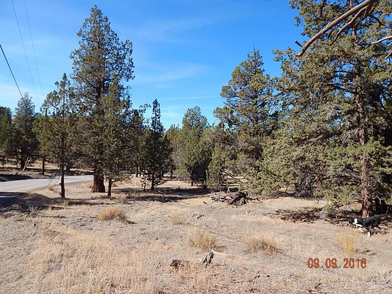 16380 Folley Waters Road - Photo 1