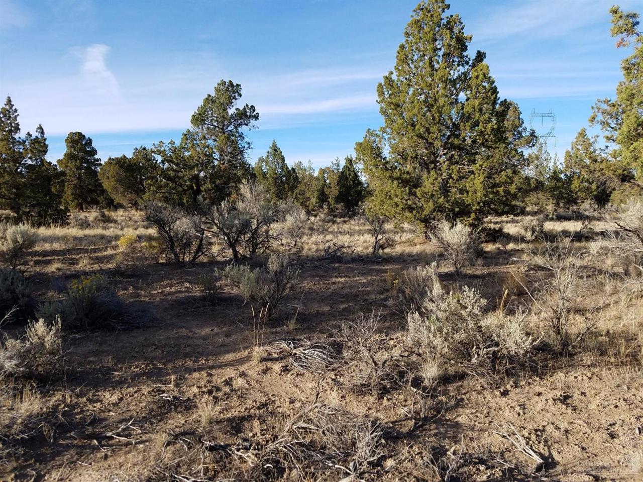 0 George Millican Road - Photo 1