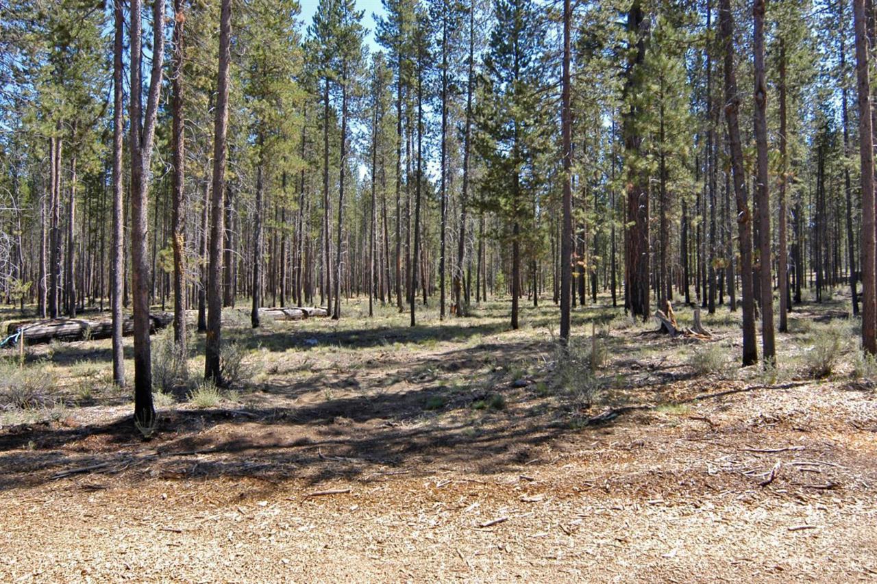 227 Trailmere Circle #56259, Bend, OR 97707 (MLS #201609745) :: Birtola Garmyn High Desert Realty