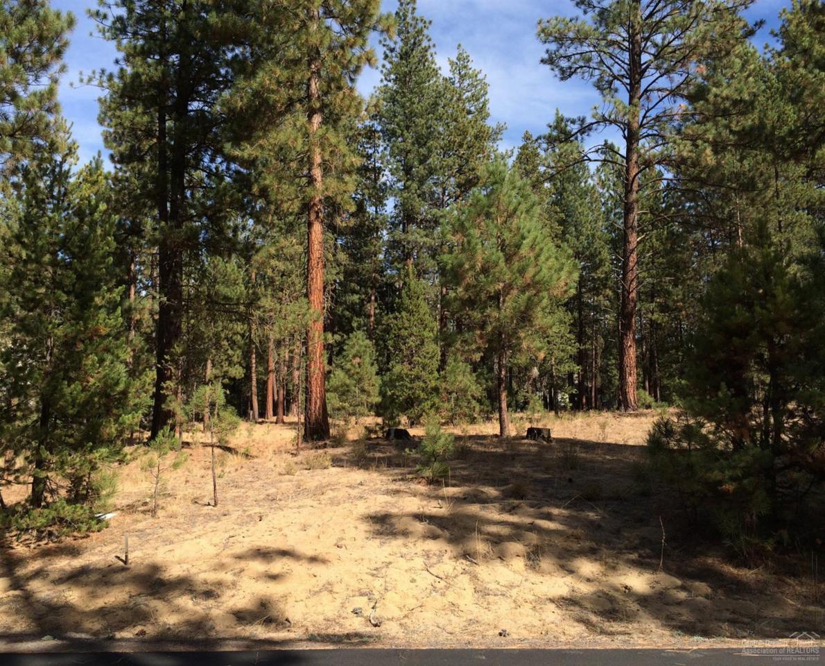 53478 Kokanee Way - Photo 1