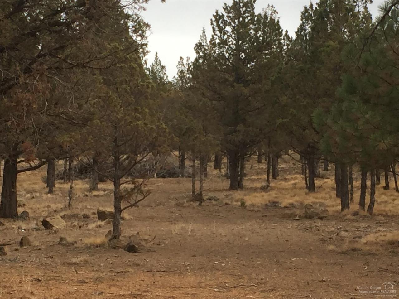 69518 Lake Drive, Sisters, OR 97759 (MLS #201609869) :: Birtola Garmyn High Desert Realty