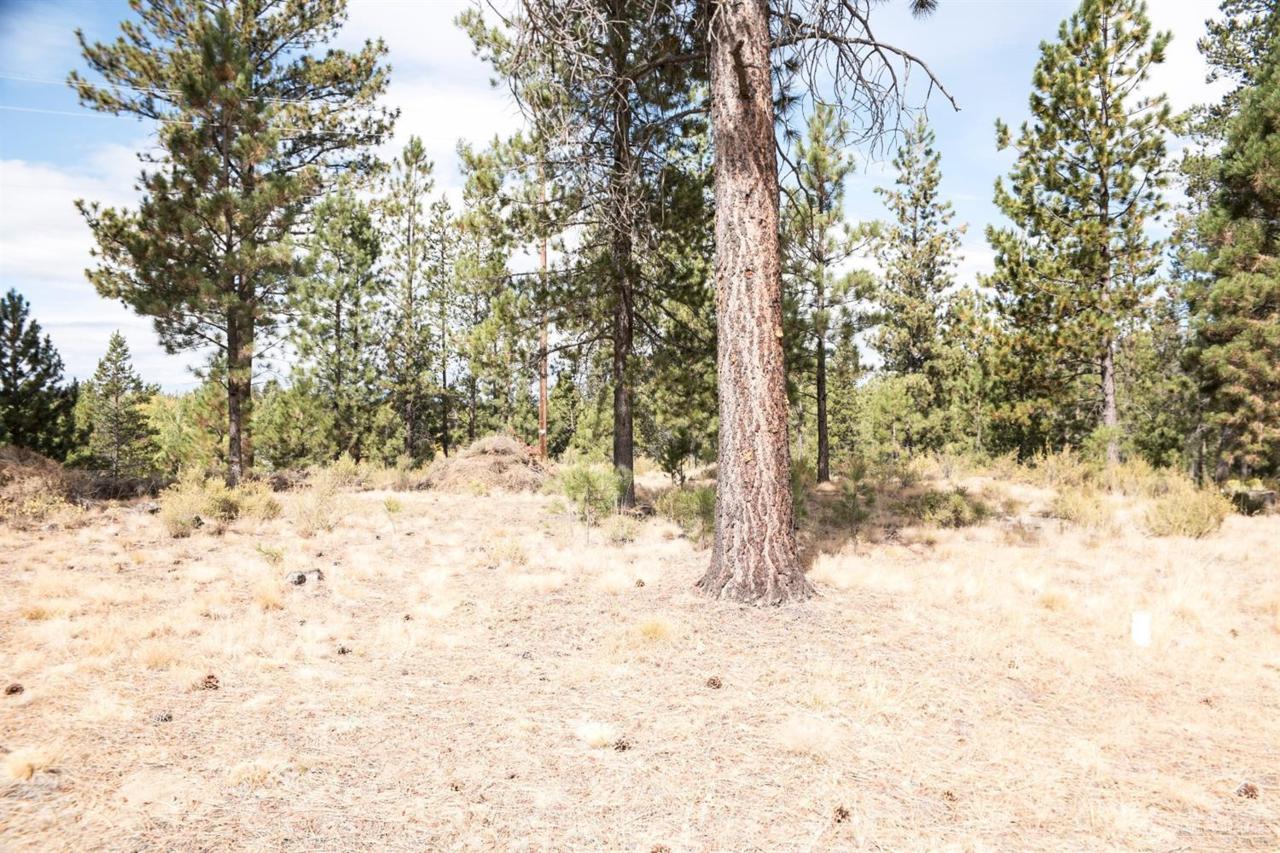 55300 Huntington Road - Photo 1