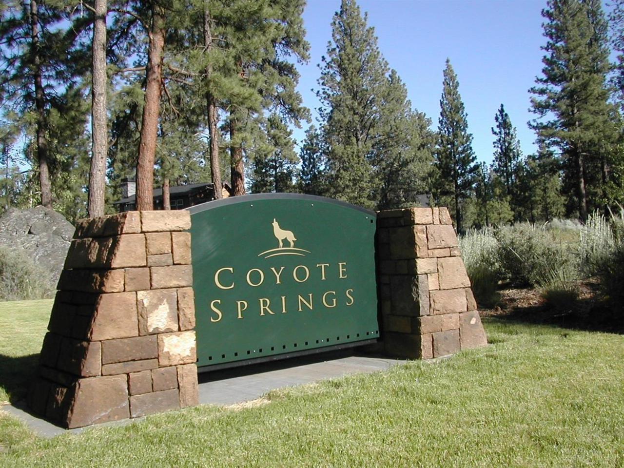 925 Coyote Springs Road - Photo 1