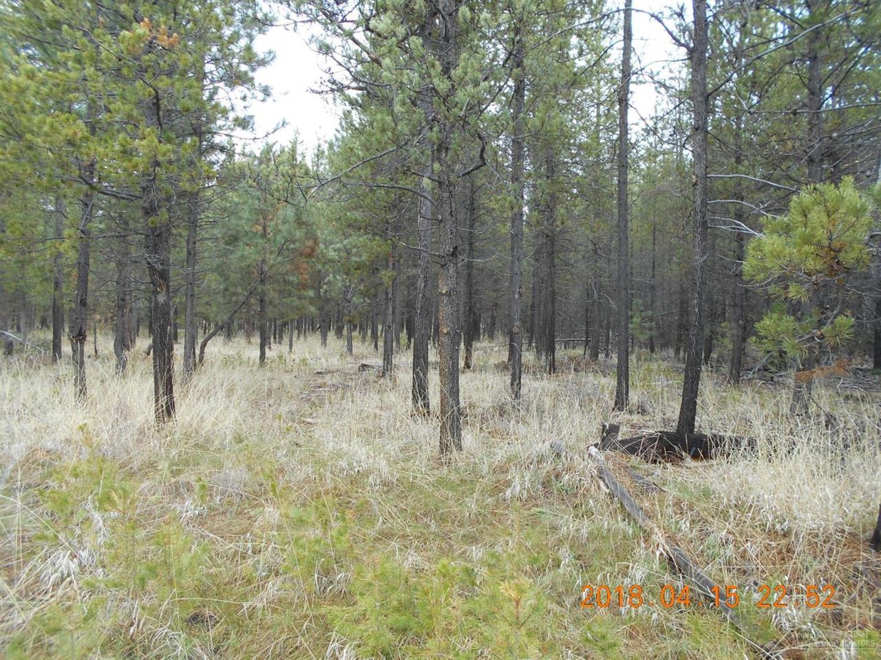 16766 Casper Drive - Photo 1