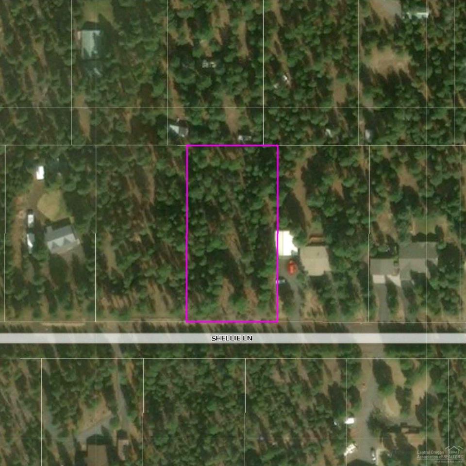 17 Shellie Lane - Photo 1