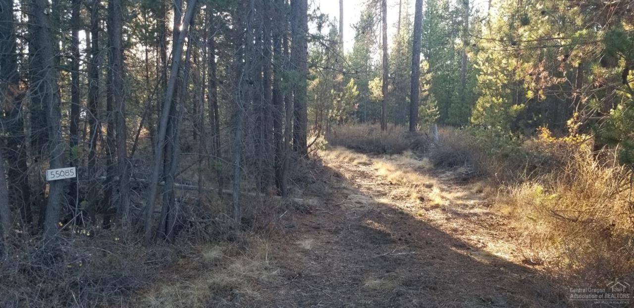 55085 Jack Pine Way - Photo 1