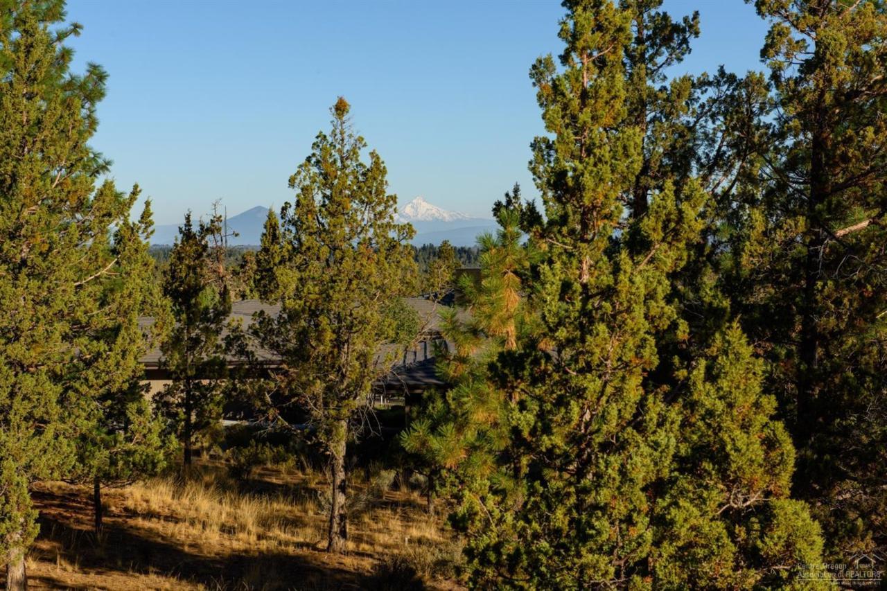 1563 Wild Rye Circle - Photo 1