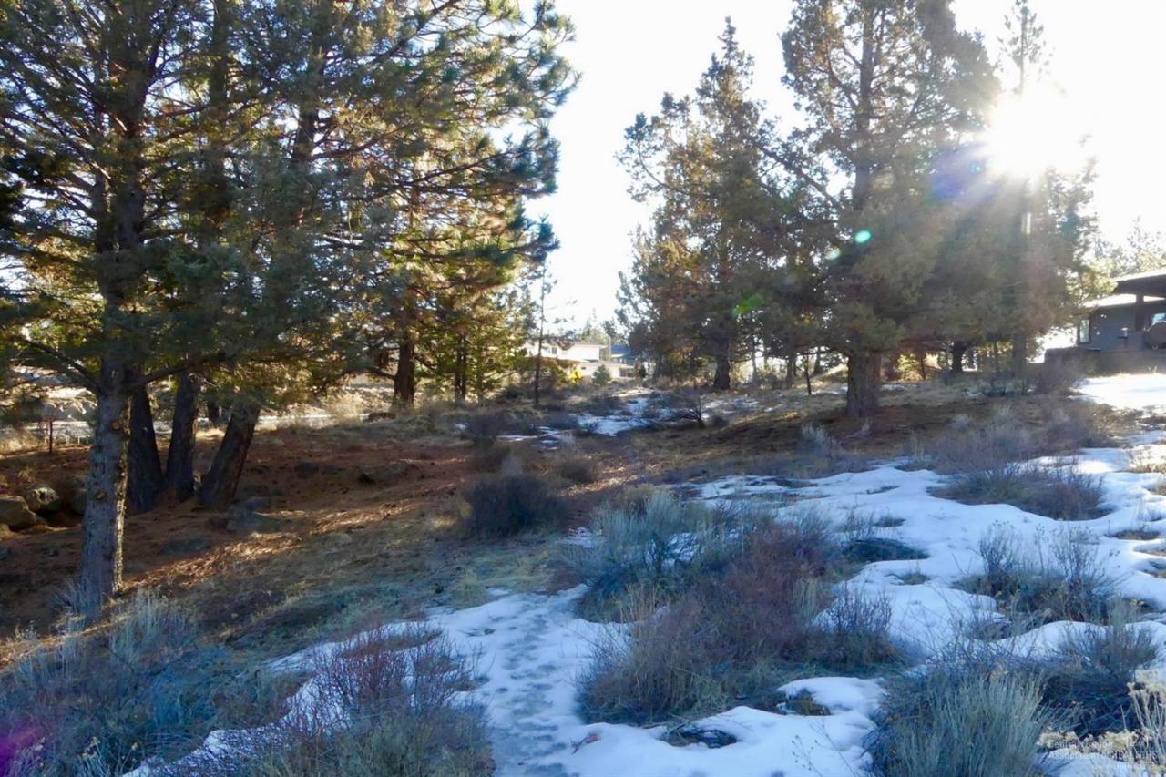 19180 Mt Shasta Drive - Photo 1