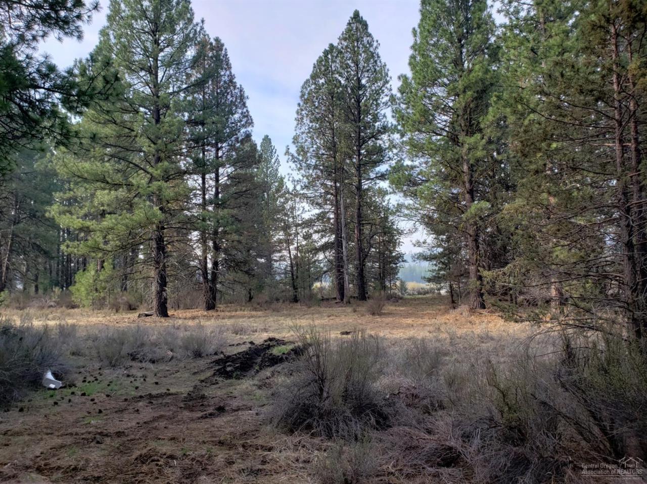 1900 Sprague River Road - Photo 1
