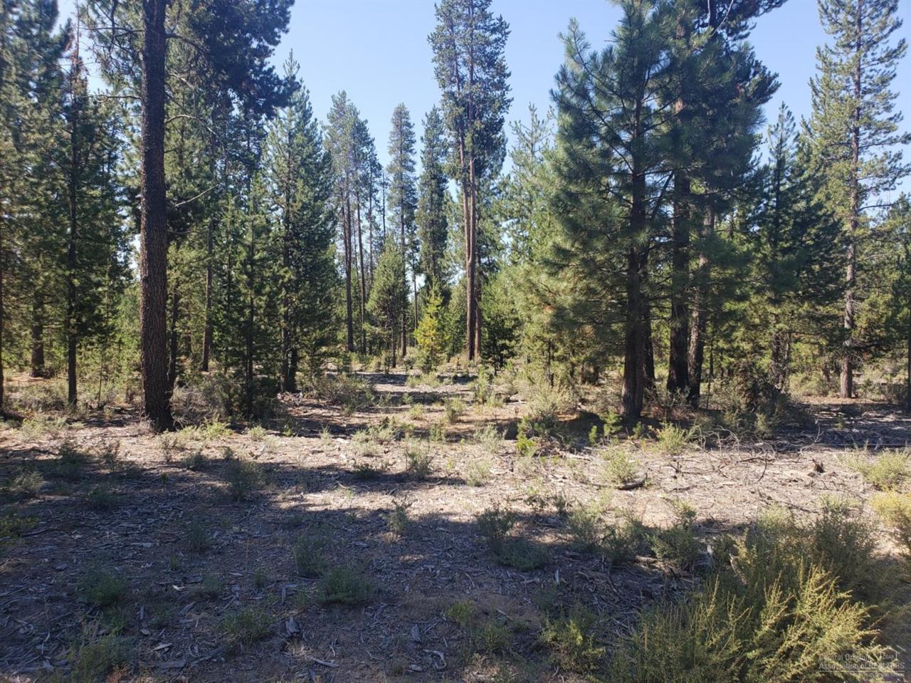 1200 Fred Mahn Road - Photo 1