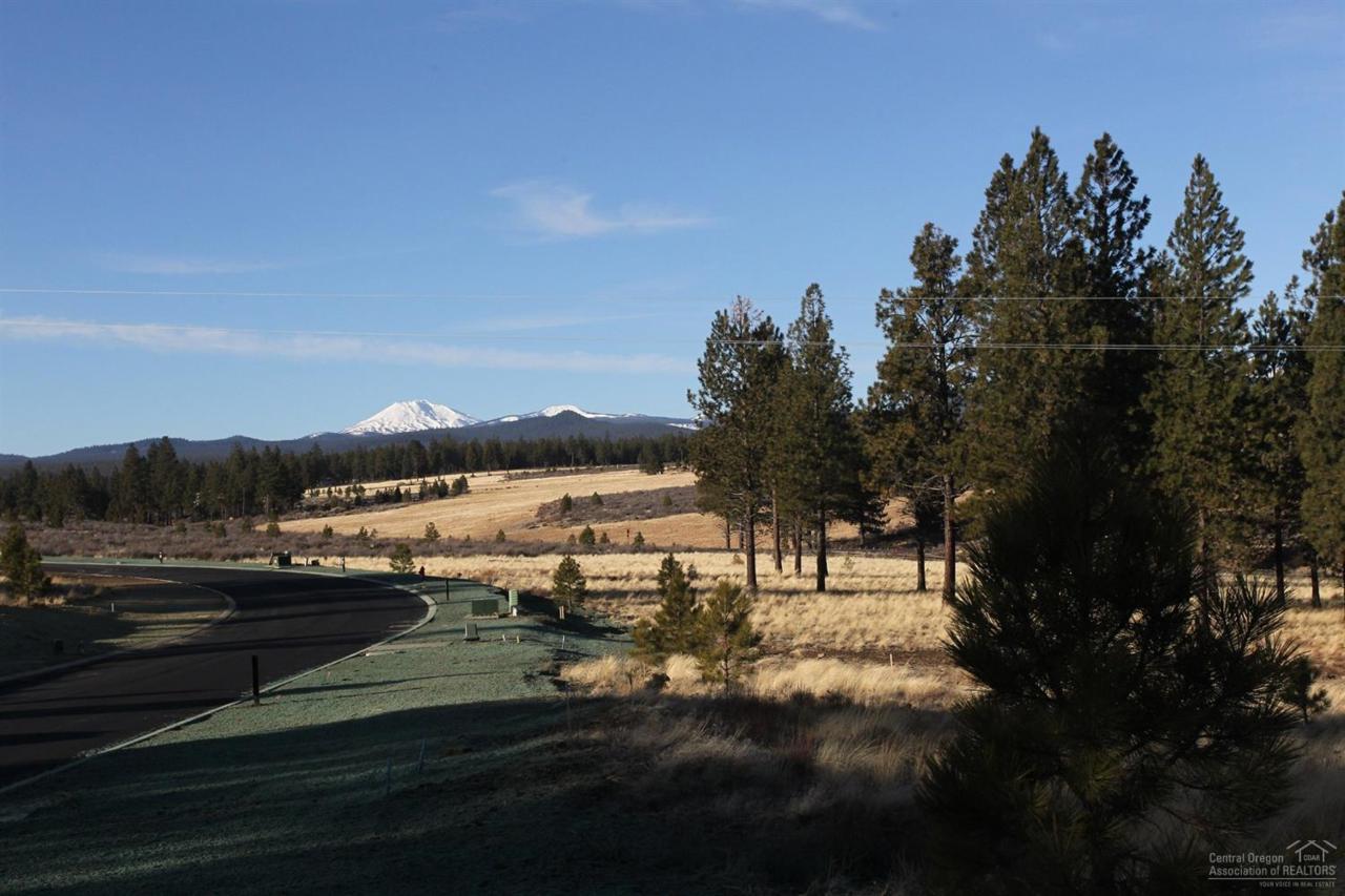 61841 Hosmer Lake Drive - Photo 1